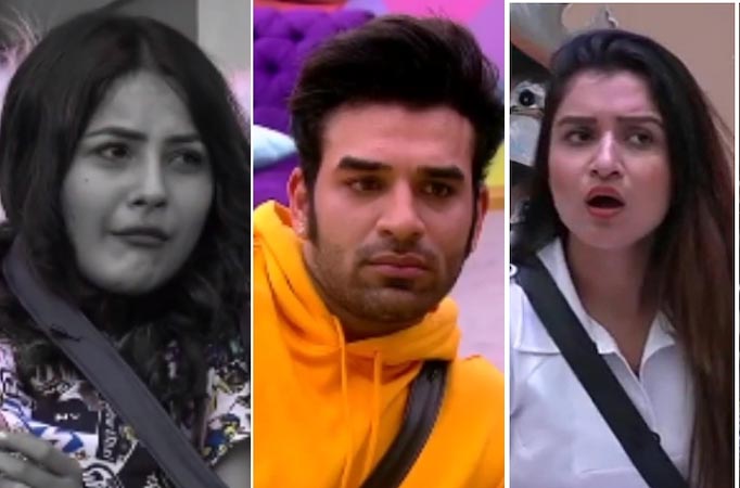 Bigg Boss 13: Shefali Bagga accuses Paras Chhabra of hurting Shehnaaz Gill's feelings