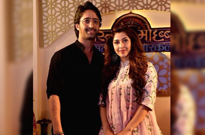 Shaheer Sheikh wishes co-star Sonarika Bhadoria; gives her a royal name 