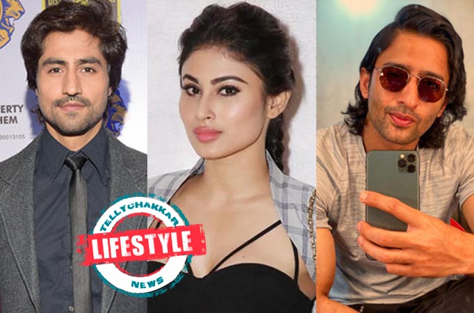 Harshad Chopda, Mouni Roy and Shaheer Sheikh show us the outfits to carry THIS CHRISTMAS…