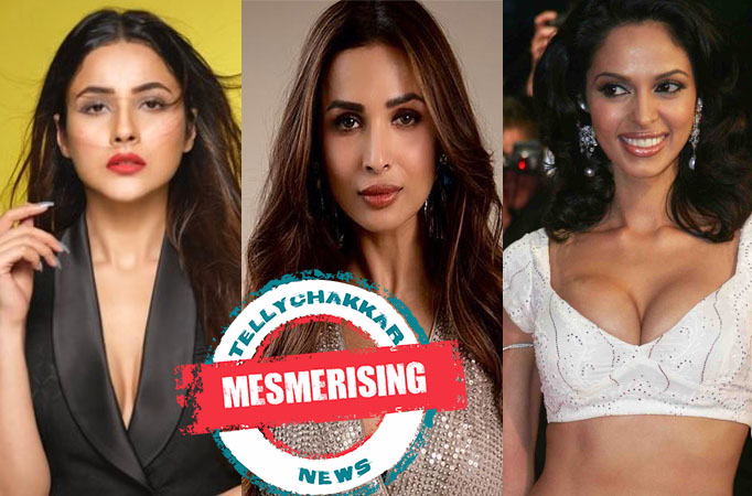 Shehnaaz Gill, Malaika Arora and Mallika Sherawat