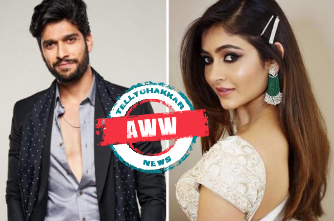 Mehndi Hai Rachne Wali