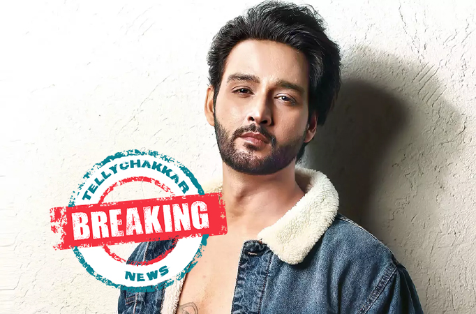 BREAKING NEWS! Mahabharat's Krishna AKA Sourabh Raaj Jain to be part of Star Bharat's Haathi Ghoda Palki Jai Kanhaiya Laal Ki? 