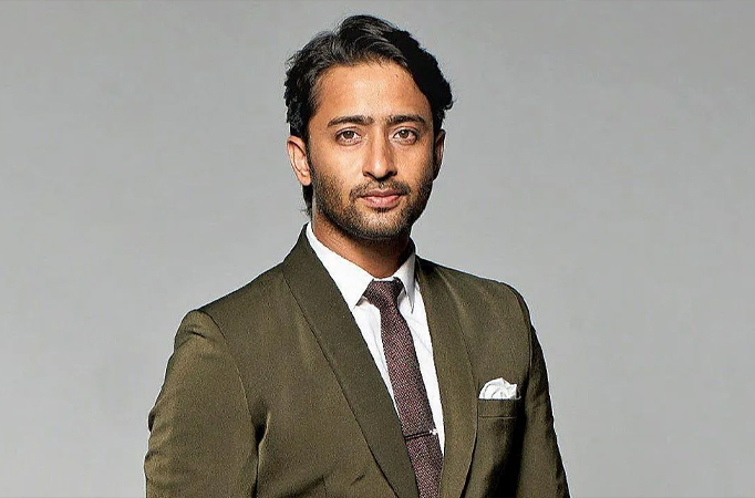 Shaheer Sheikh delighted with response to his role in 'Pavitra Rishta'