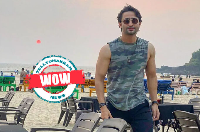 Shaheer-wow