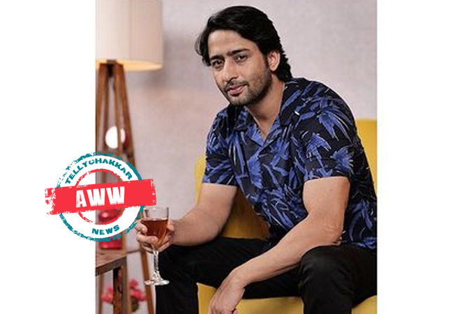 Shaheer Sheikh