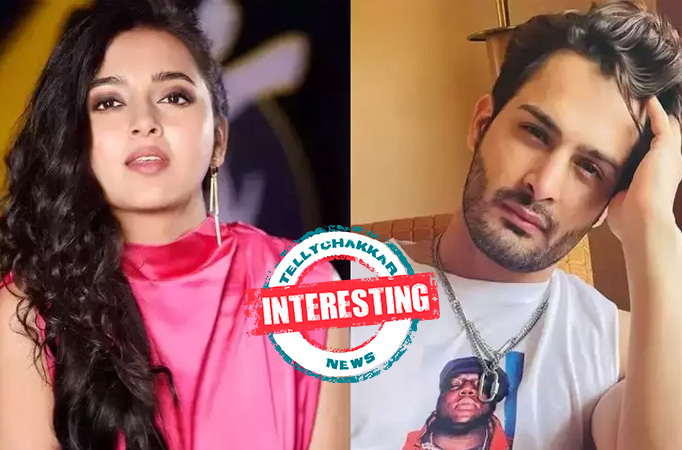 Bigg Boss 15: Interesting! Umar Riaz gives advice to Tejasswi Prakash where he tells her that “ Be careful they are people brain