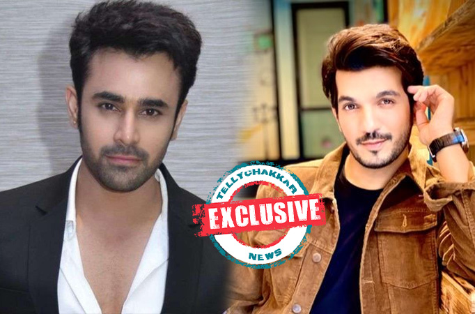 Exclusive! Pearl Puri or Arjun Bijlani to be locked in for Naagin 6 as the lead of the show?