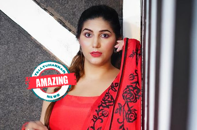 AMAZING: Bigg Boss 11 fame Sapna Chaudhary flaunts her SEXY MOVES on the beaches of Goa!