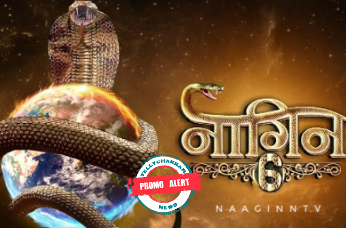 PROMO ALERT! Naagin is back to save the world, this time it's the Pandemic Vs Naagin 6