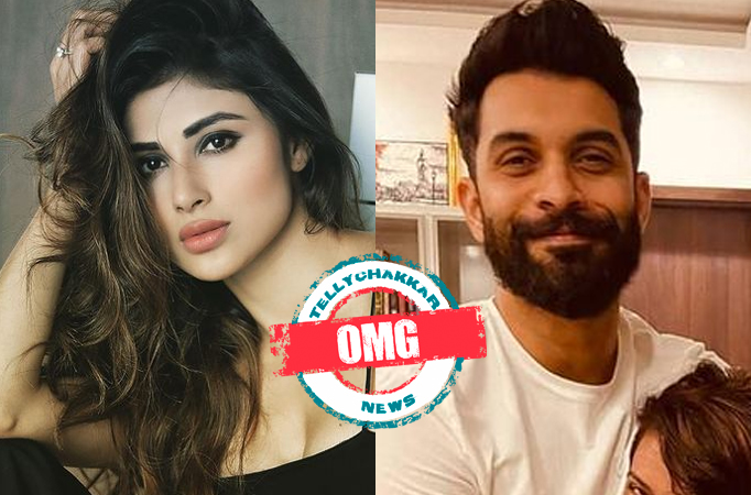 OMG: Have Mouni Roy and Suraj Nambiar CANCELED their WEDDING RECEPTION party?