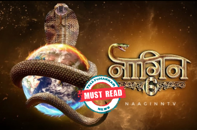 MUST READ: Checkout the WHOPPING SALARIES of the cast of Naagin 6! 