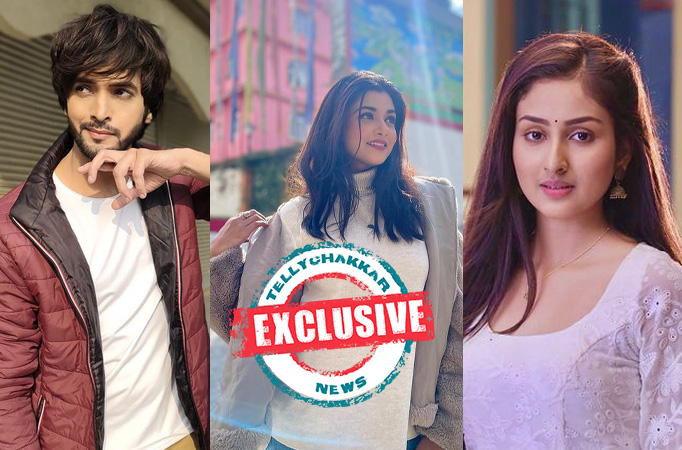 EXCLUSIVE! 'Vikram's heart beats only for his sister Parineet and his love Neeti' Parineetii's Ashish Dixit gets CANDID on baggi