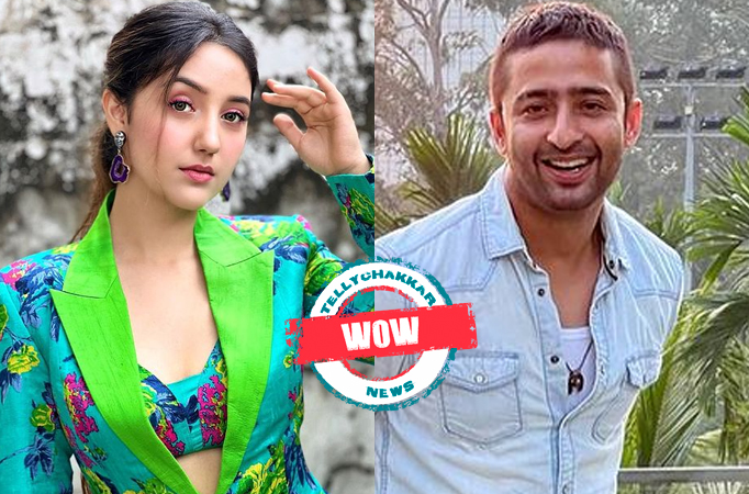 WOW! Check out the Historical connection between Ashnoor Kaur with the co-star Shaheer Sheikh