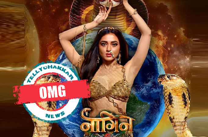 OMG! These actors refused the role of Rishabh in Naagin 6