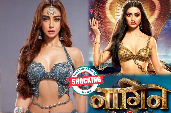 Shocking! These actresses refused the role of Mahek in Naagin Season 6