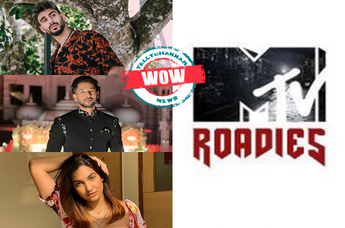 Wow! Kevin Alamsifar, Baseer Ali, Sapna Malik to be a part of Roadies upcoming season, here is the list of the confirmed contest