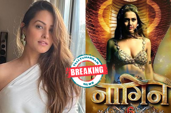 BREAKING! Vishakha aka Anita Hassnandani to return with Naagin 6? 