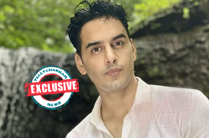 EXCLUSIVE! 'I don't find it justifiable to compare both the characters' Waseem Mushtaq on his characters in SSK2 and Spy Bahu