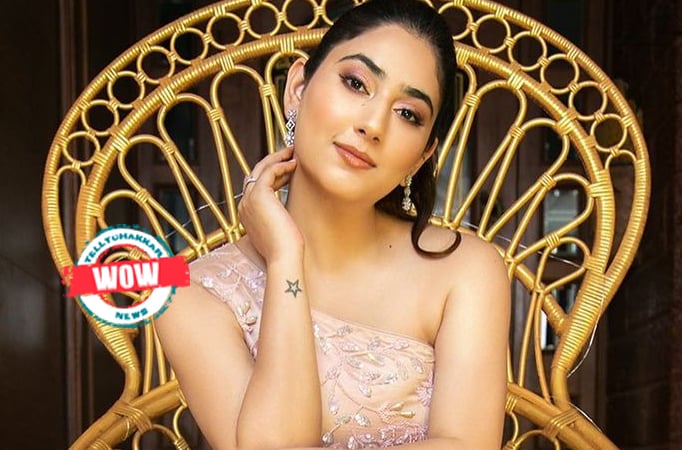 WOW! From owing a fleet of cars to a classy abode, Bade Achhe Lagte Hain 2 fame Disha Parmar's life is a luxurious one 