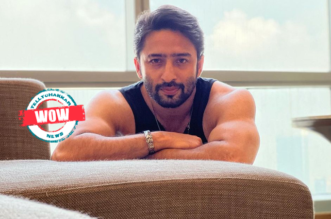 Wow! Shaheer Sheikh looks super hot flaunting his gym sculpted body 