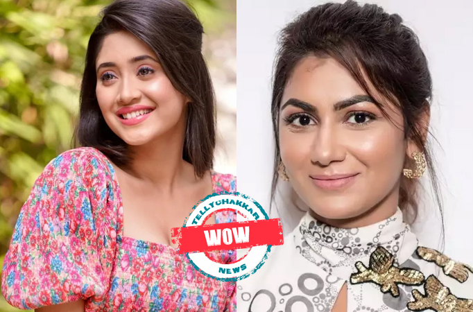 WOW! Shivangi Joshi to Sriti Jha, Check out the TV celebrities who are rooted to the environment 