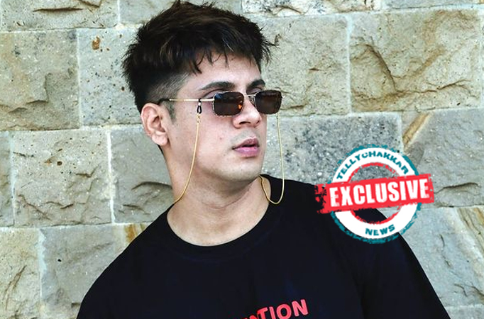 EXCLUSIVE! Fanaa-Ishq Mein Marjawan 3's Ayaaz Ahmed could become a successful food blogger, here's why 