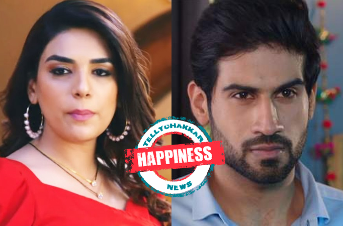 HAPPINESS! Maitri expecting her first child with Neeraj in Sony TV's Bade Achhe Lagte Hain 2