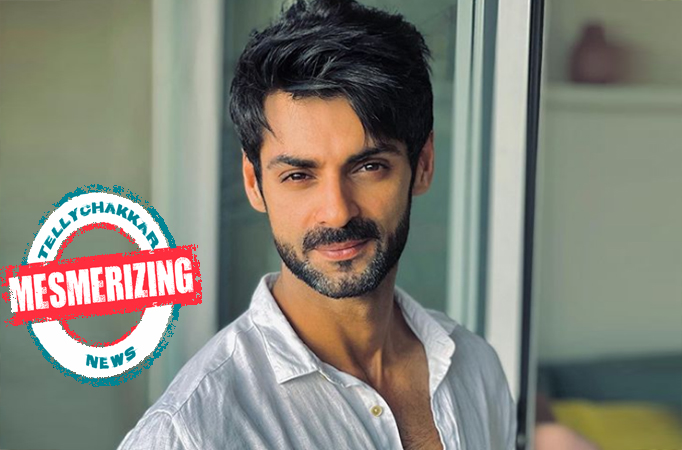 MESMERIZING! Channa Mereya fame Karan Wahi's LUXURIOUS abode spells elegance and class 