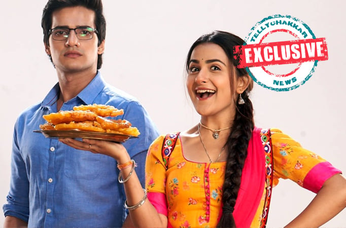 Exclusive: Siddharth and his family from serial Mithai to be seen in serial Radha & Mohan for a Janmashtami Sequence