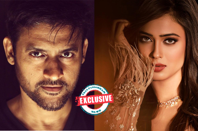 EXCLUSIVE! Manav Gohil to play the lead opposite Shweta Tiwari in Bodhi Tree Multimedia's next on Zee TV 