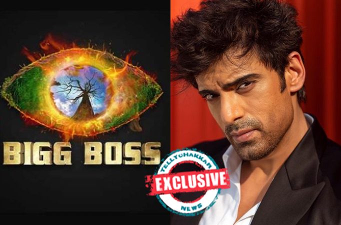 Bigg Boss 16: Exclusive! Mohit Malik to participate in the show? 