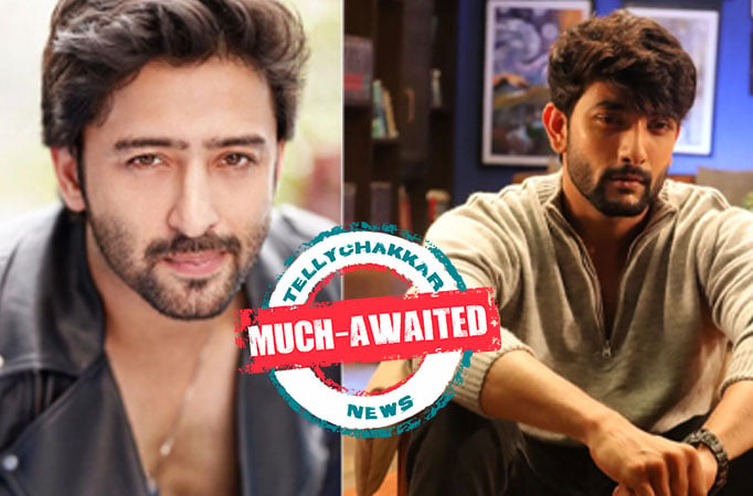 Much-Awaited! Take a look at handsome hunks like Shaheer Sheikh, Fahmaan Khan and many other from TV who are yet to participate 