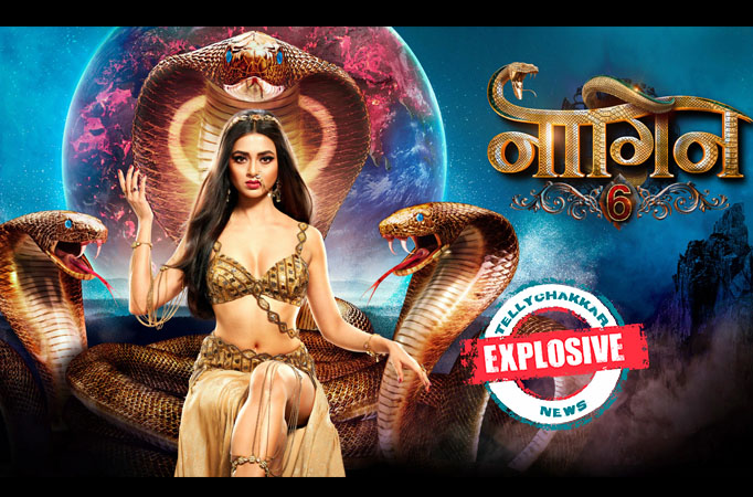 EXPLOSIVE NEWS! Colors' Naagin 6 to have a title change; fans suggest the new title? 