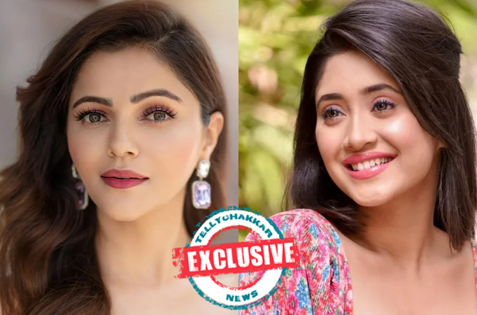 Khatron Ke Khiladi 12: Exclusive! Rubina Dilaik has a special message for Shivangi Joshi, Raed on 