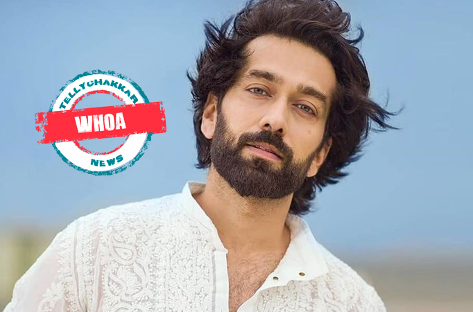 WHOA! Is Bade Achhe Lagte Hain 2 actor Nakuul Mehta royalty? 