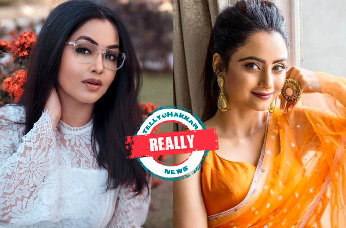 REALLY! Television actors Shubhangi Atre and Madirakshi Mundle approached for Bigg Boss 16? Here is what we know