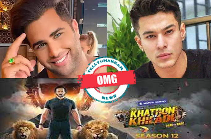 Khatron Ke Khiladi: OMG! Did Rajiv Adatia call Pratik Sehajpal dumb?