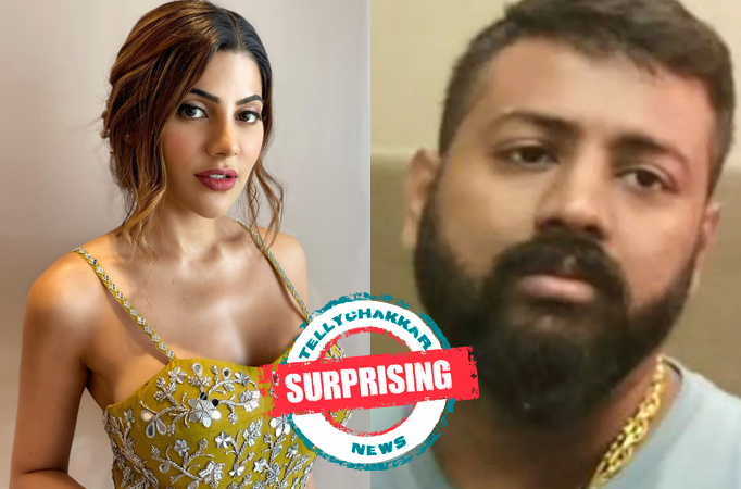 Surprising! Nikki Tamboli shares a cryptic story on her Instagram account amid her controversial connection with conman Sukesh C