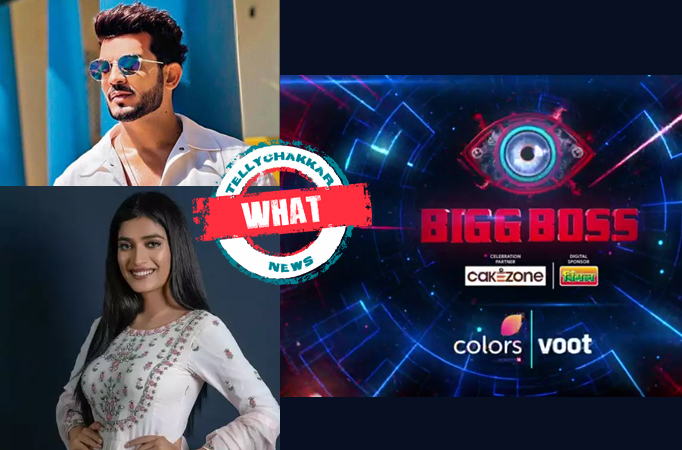 Bigg Boss 16: What! Arjun Bijlani furious at Manya Singh’s derogatory comment, says, “Tv big hai, tha aur rahega!”