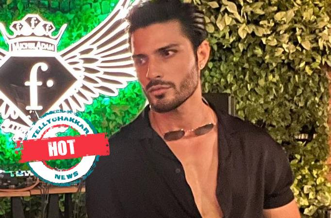 Hot! Check out Vin Rana's Hottest Pictures