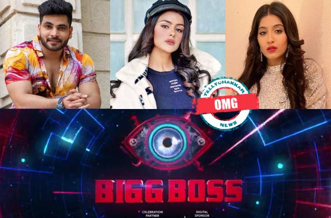 Bigg Boss 16: OMG! Nimrit Kaur Alhuwalia accused of groupism by fan; Priyanka Choudhary and Shiv Thakare agree   