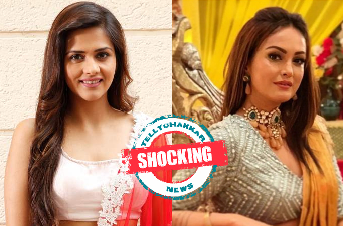 Shocking! From Dalljiet Kaur to Nisha Rawal, these Television actresses refused to be abused further in their marriage and walke