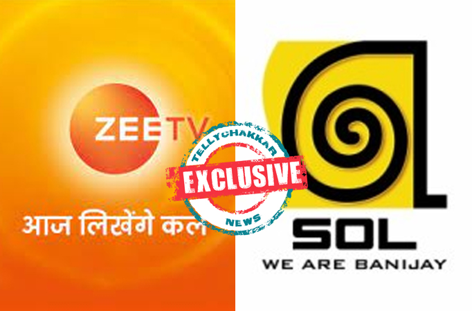 Exclusive! Zee TV to launch two new shows in January by SOL Productions and Sunny Side Up?