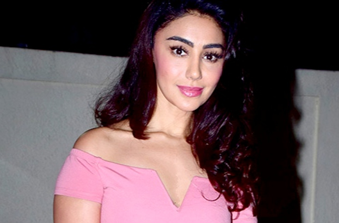 Actress Mahekk Chahal was hospitalised and on ventilator for 3 days, recovery ongoing