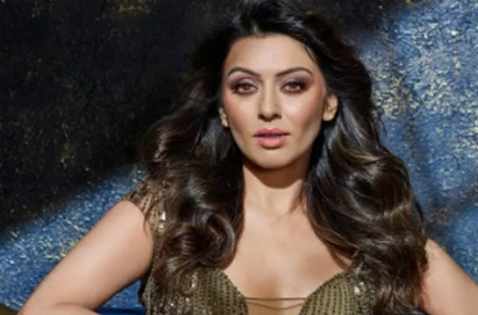 Pretty! Hansika Motwani looks super glamorous in these outfits, take a look