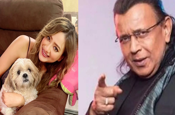 “My father in law Mithun Da is extremely fond of dogs that at one point we had 65 dogs all together” says Madalsa Sharma who pla
