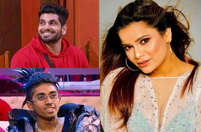 Before Entering Bigg Boss 16, This is what the what Shiv Thakre, MC Stan, Archana Guatam and more were seen in! Check out how th