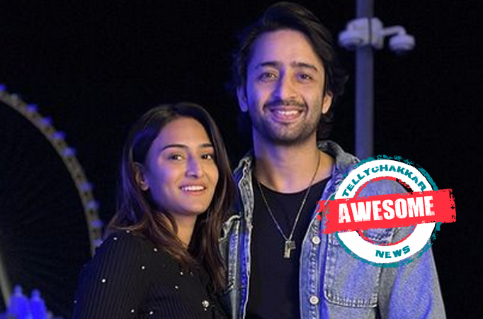 Erica Fernandes and Shaheer Sheikh