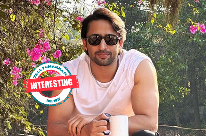 Shaheer Sheikh