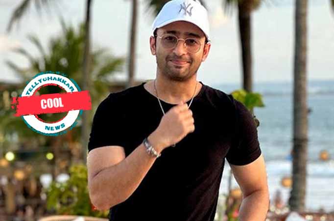 Shaheer Sheikh 